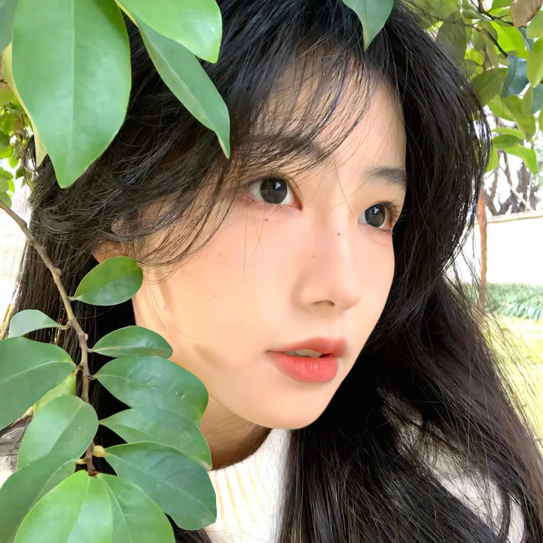 灯塔情人